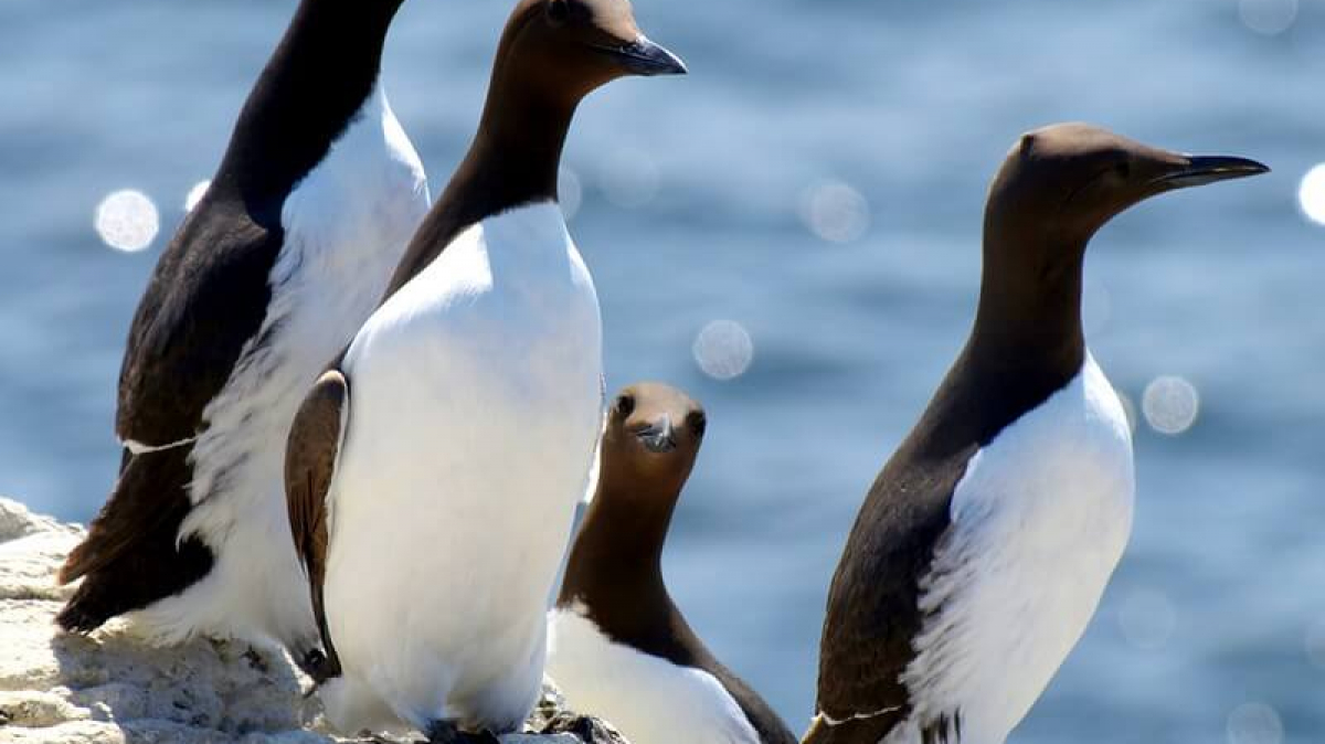 Фото: Jim Roberts, visualhunt.com