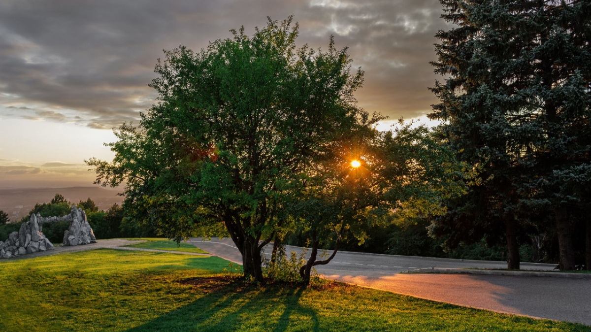 Пятигорск. Фото: German Borodin, unsplash.com