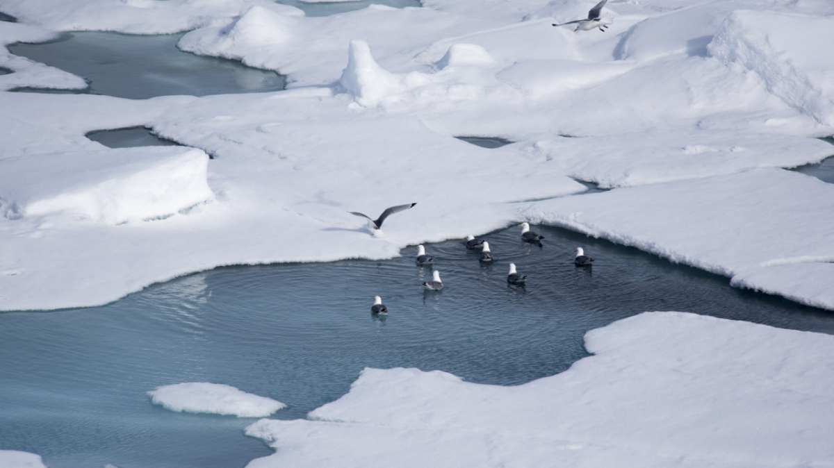 Фото: Christopher.Michel, visualhunt.com