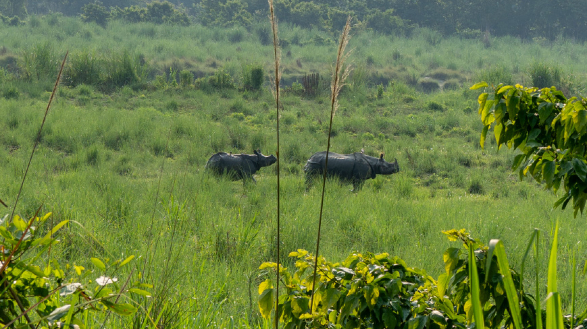 Фото нашего Странника Станислава Дышева