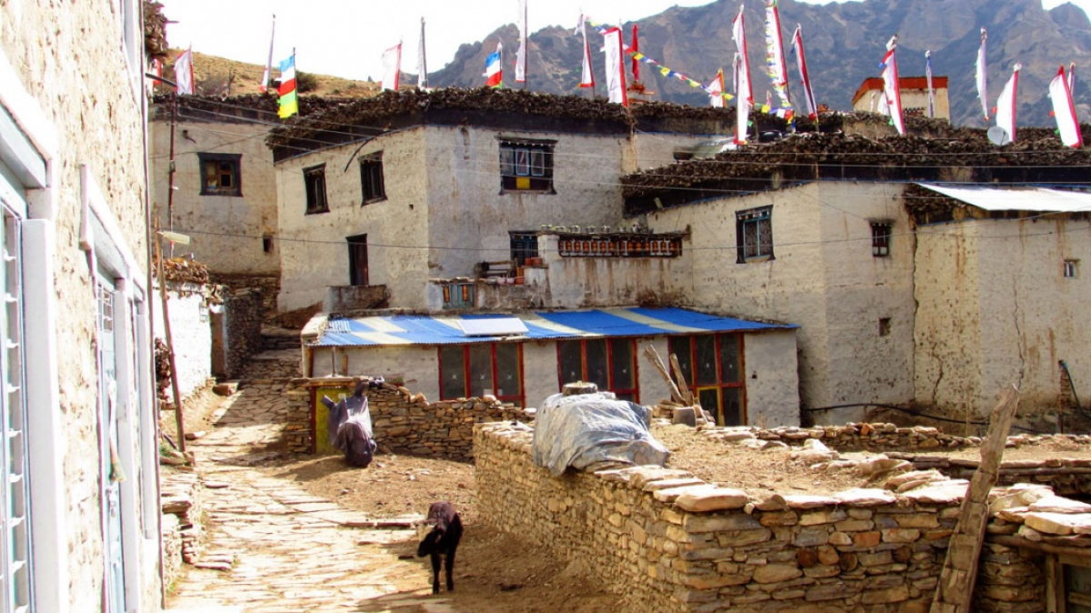 Photo by our guide Lika Maystrova