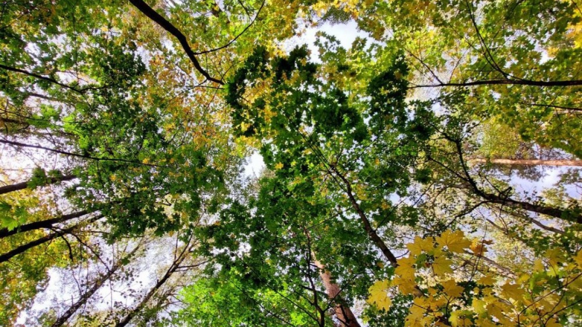 Фото наших Странников