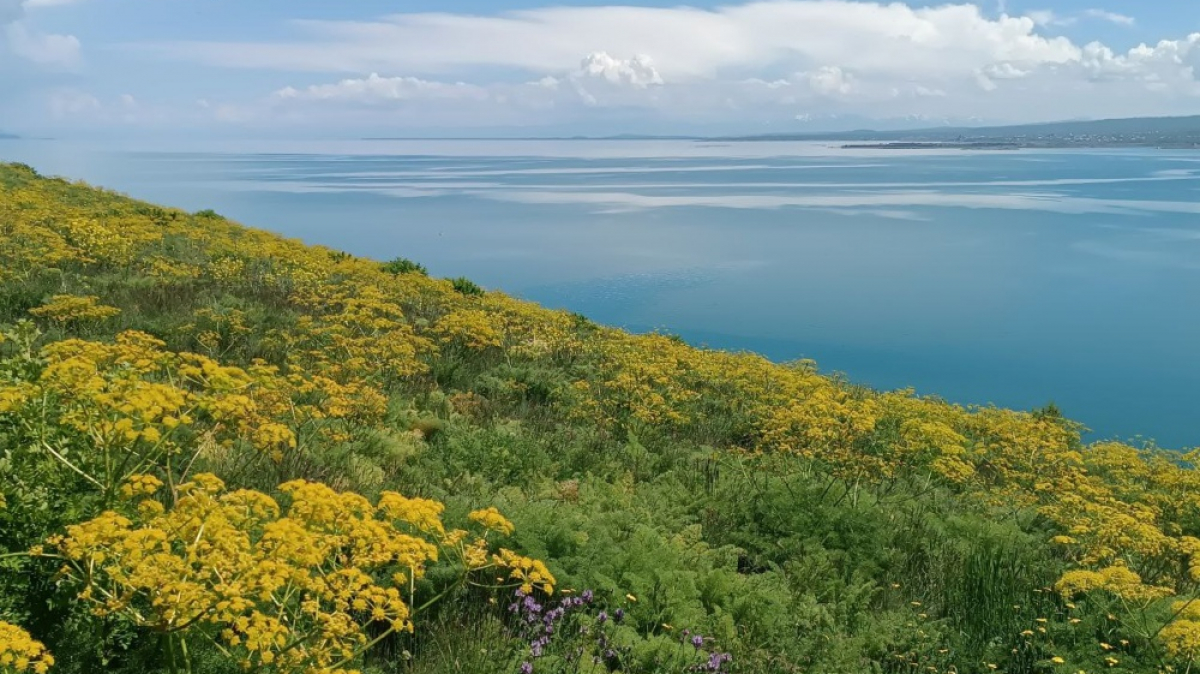 Фото нашего гида Ирины Пряничниковой