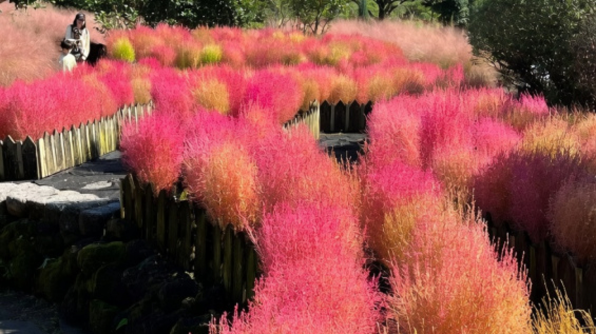 Фото нашего гида Лики Майстровой