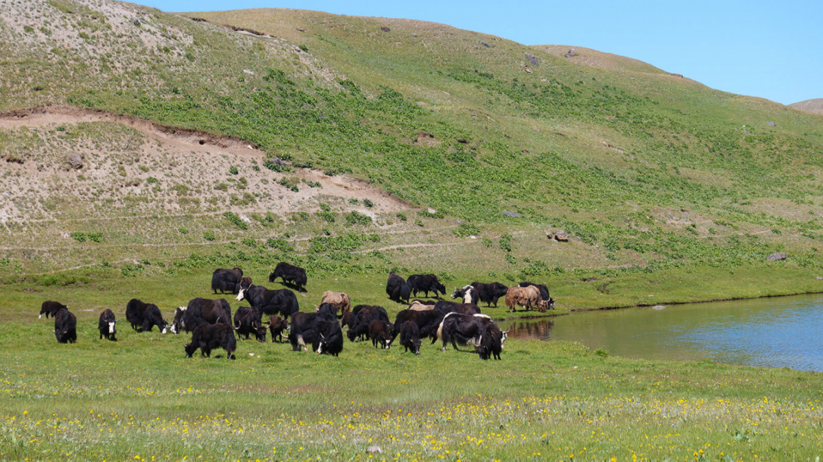 Фото из архива Клуба