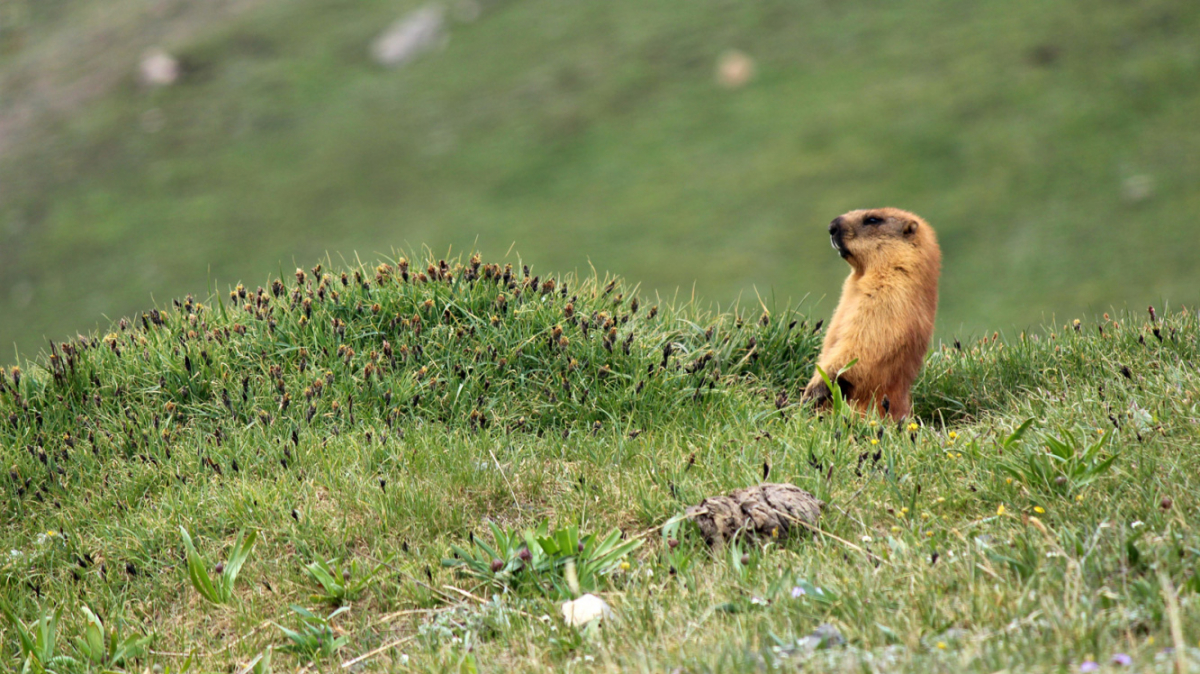 Фото из архива Клуба