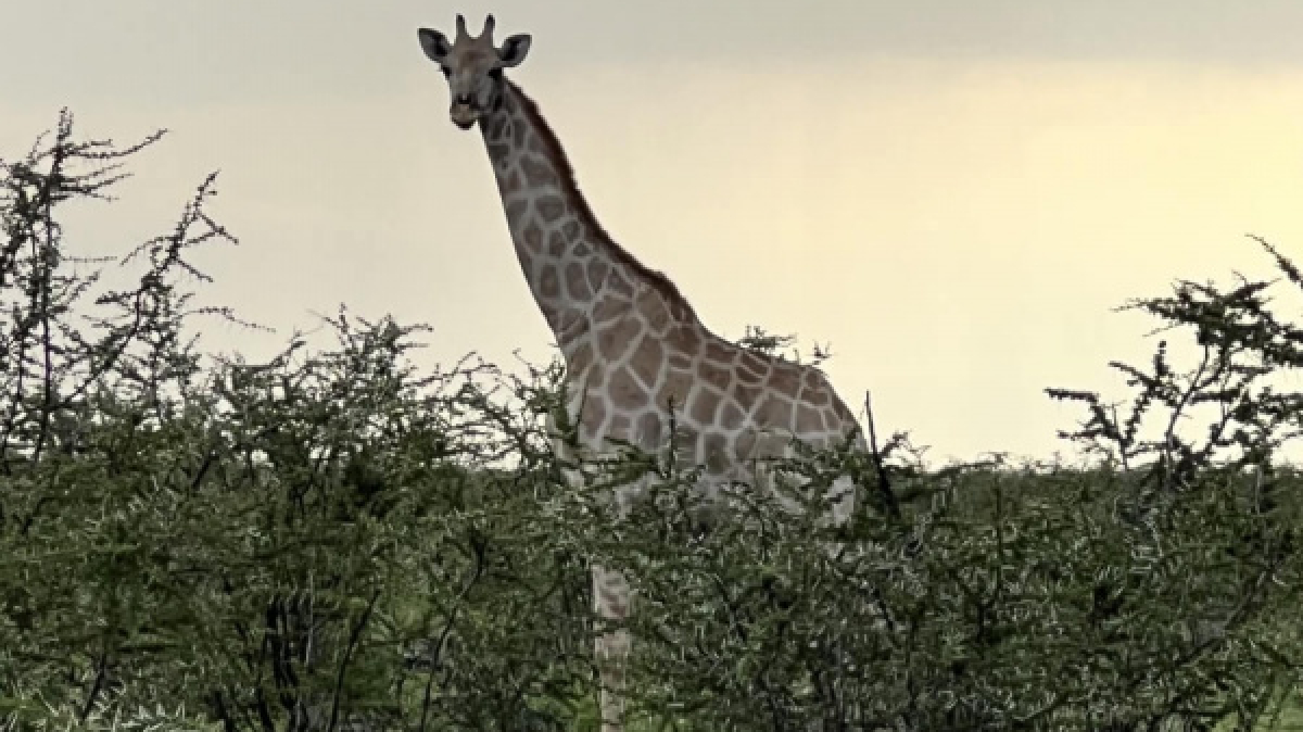 Фото: наш гид Алексей Шорец