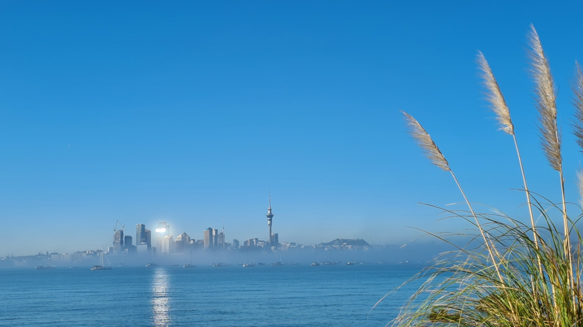 Фото: JustGoThere.NZ