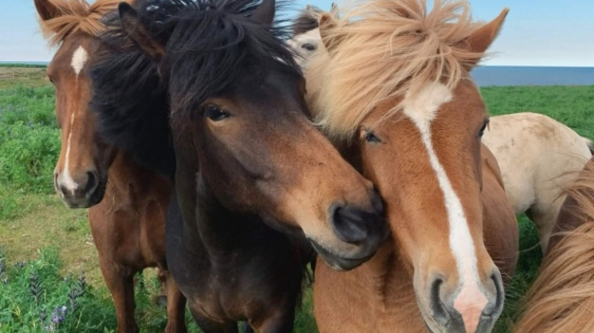 Фото из архива Клуба