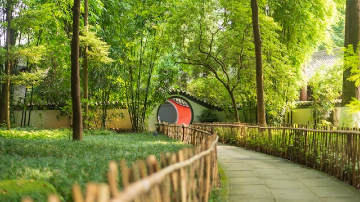 Фото: Fay Lee on Unsplash