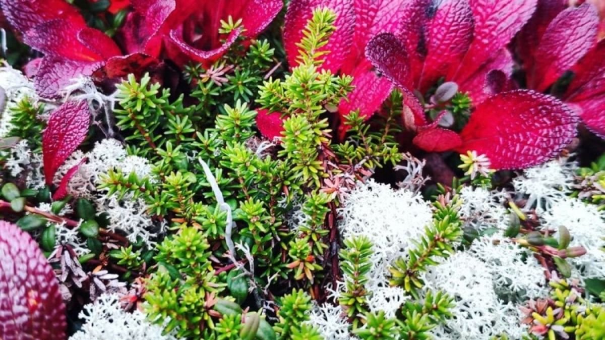 Photo by our guide Evgenia Skopina