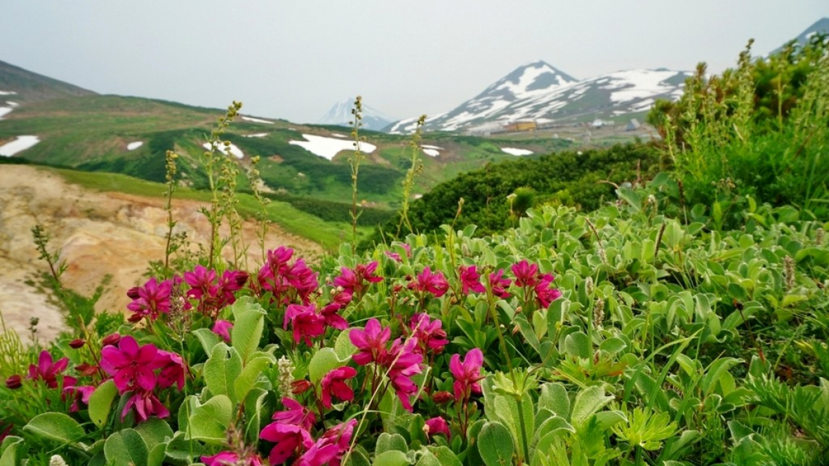 Photo by our tourist Aleksandr Panchenko