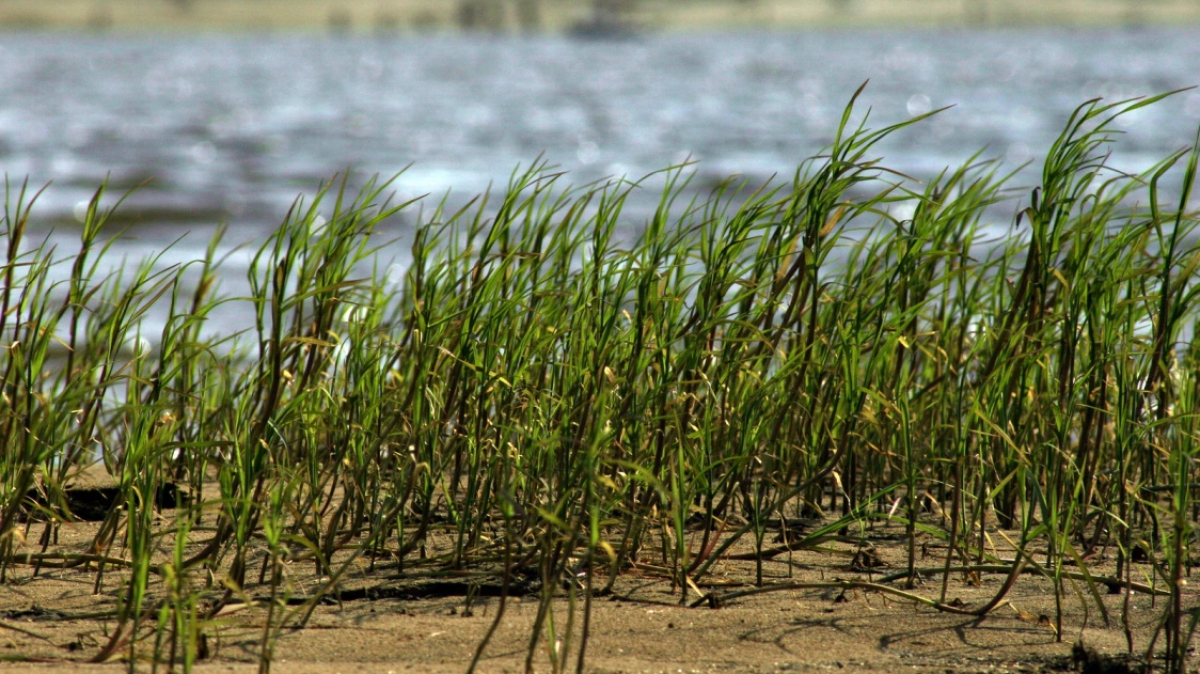 Фото: Vasilyev Serge, visualhunt.com