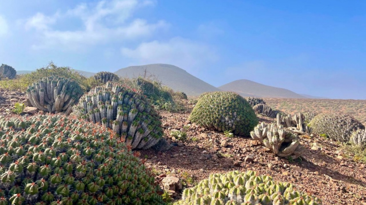 Фото наших Странников