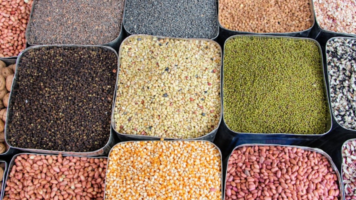 Photo by Yoav Farhi, unsplash.com