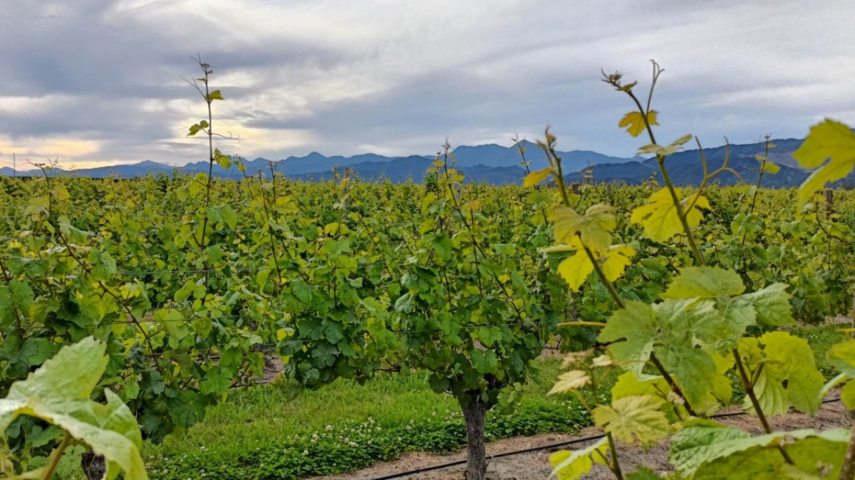 Фото из архива Клуба