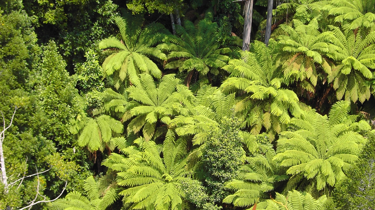 Фото: denisbin, visualhunt.com