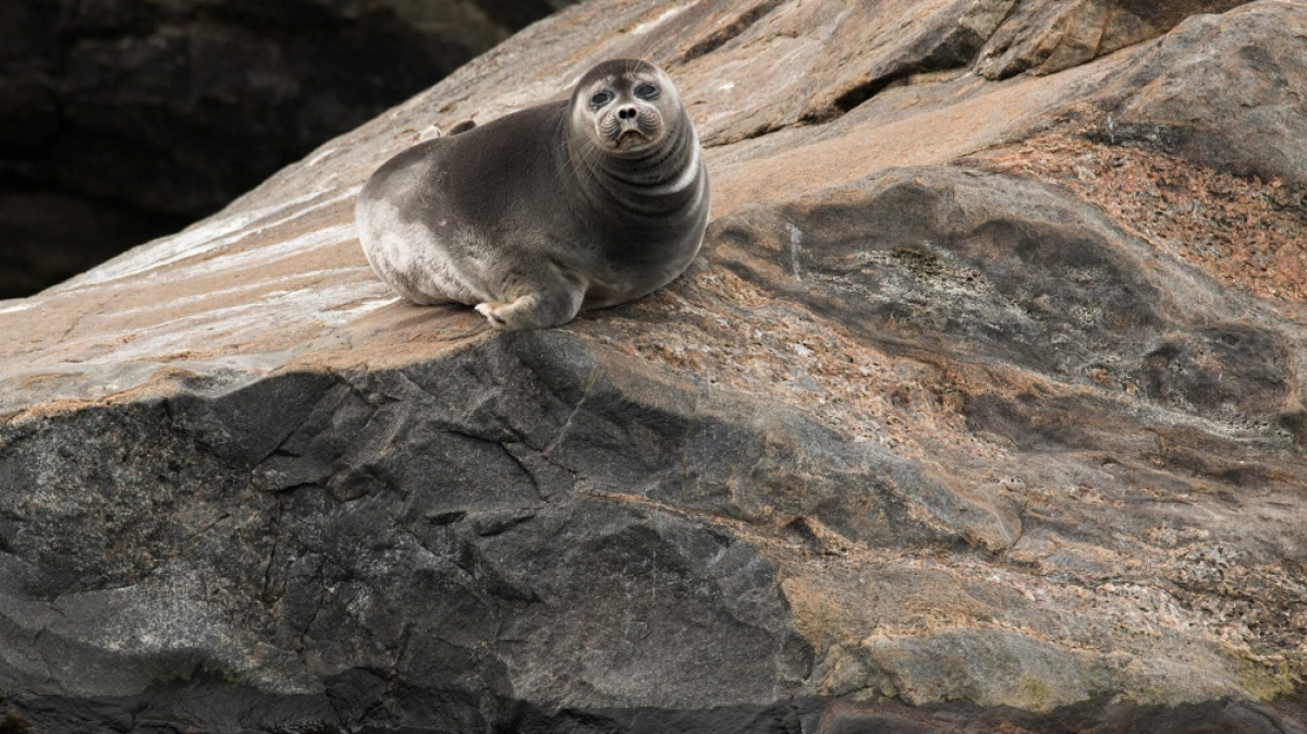 Фото нашего гида Андрея Таничева
