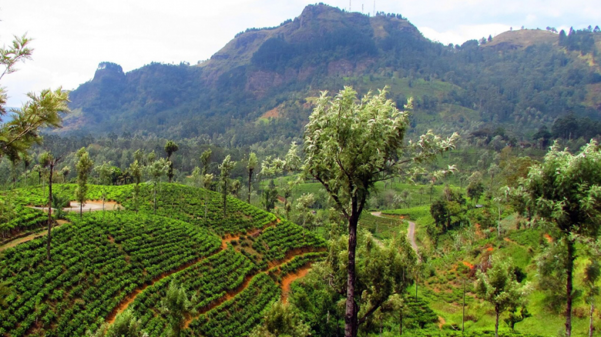 Фото нашего гида Лики Майстровой