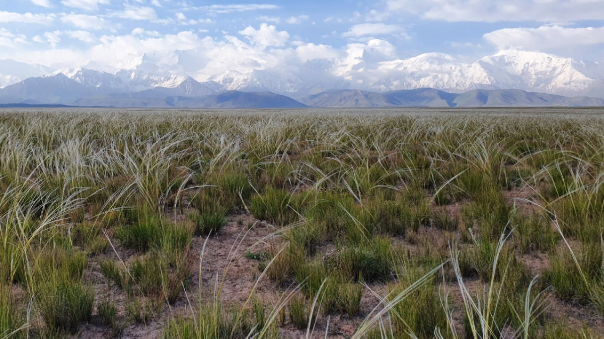 Фото из архива Клуба