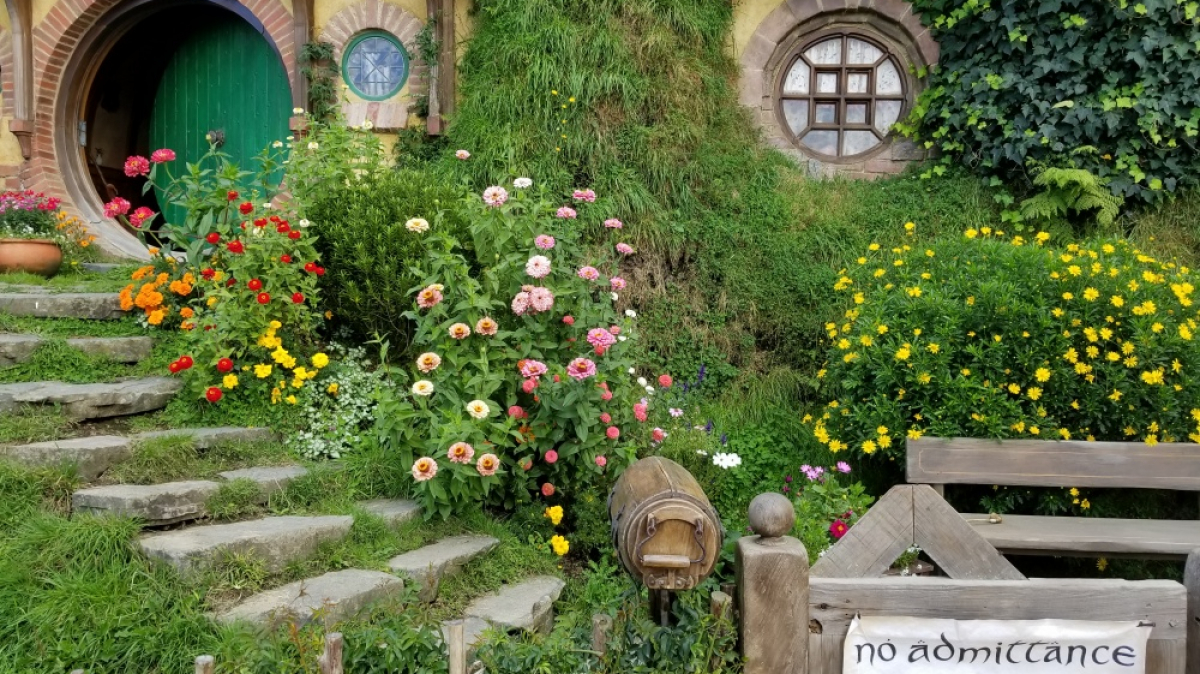 Фото: JustGoThere.NZ