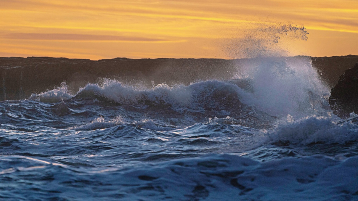 Фото: Intricate Explorer, unsplash