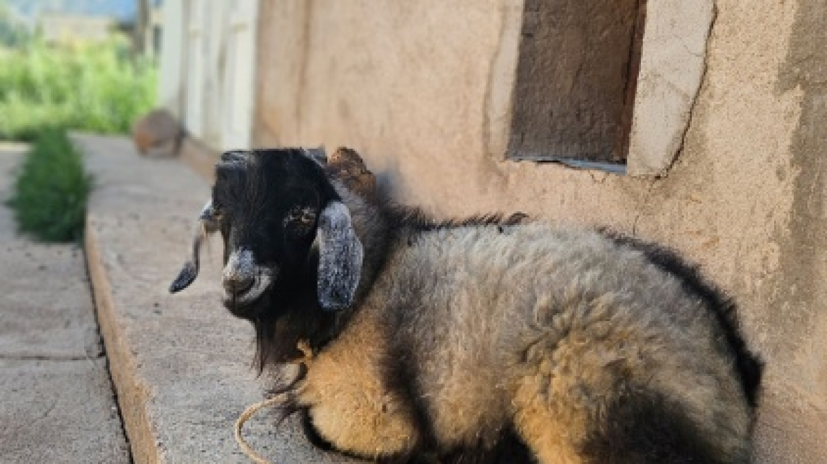 Фото нашей Странницы Татьяны Алексеевой