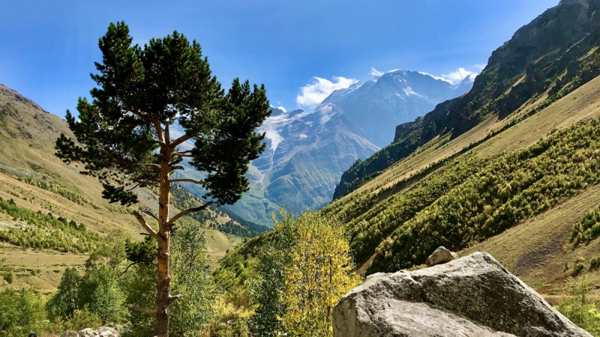 Фото: Roman Bodrov, unsplash.com