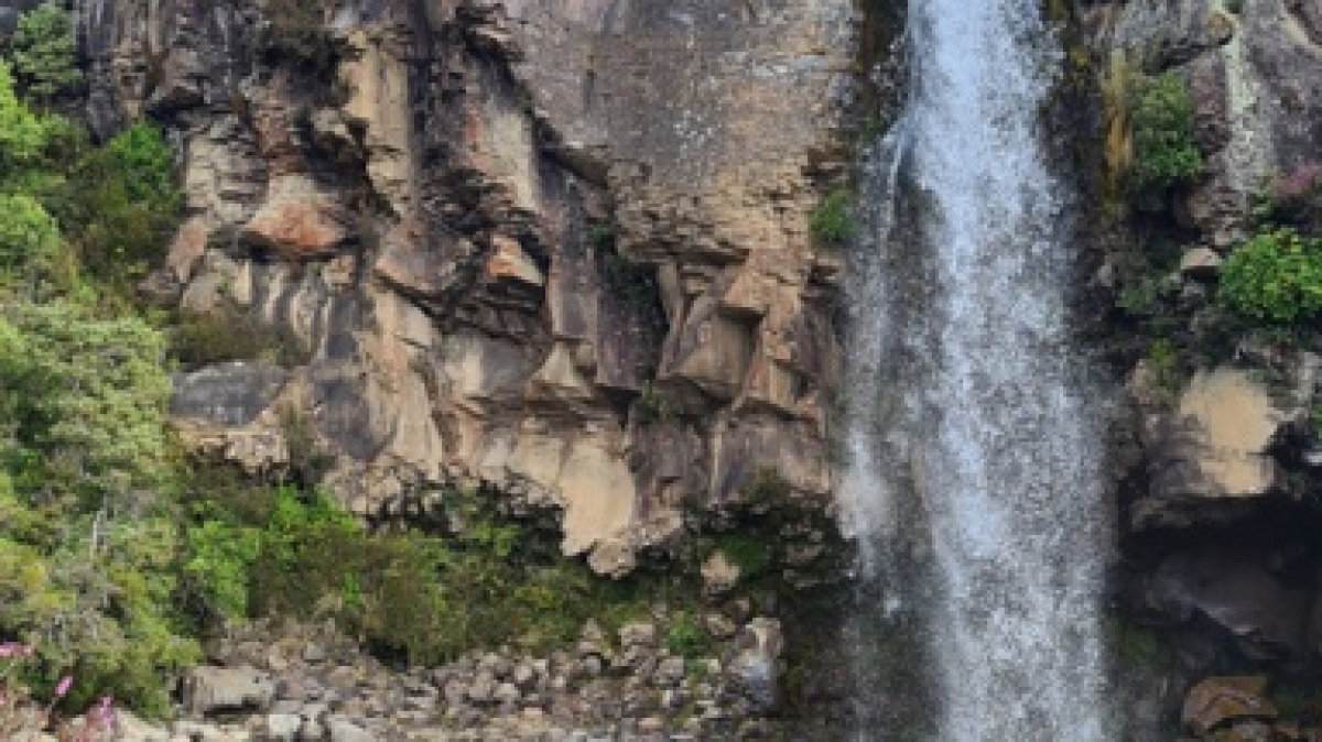 Фото наших партнеров JustGo ThereNZ