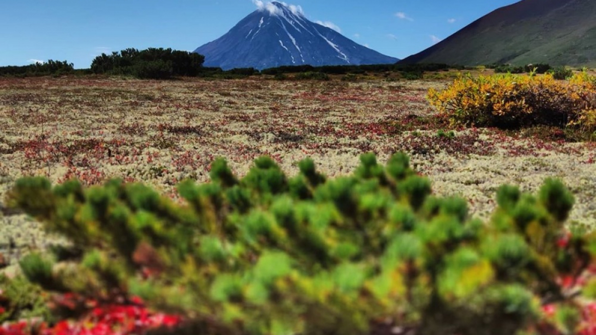 Photo by our guide Evgenia Skopina