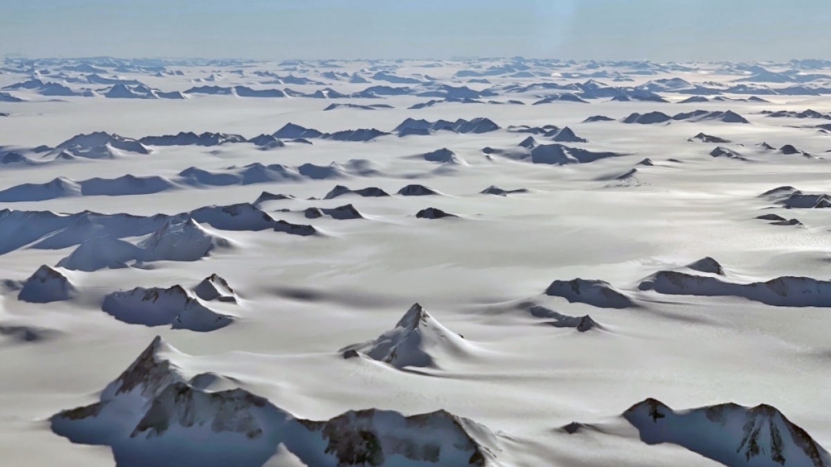 Фото: Andy Wang, unsplash.com