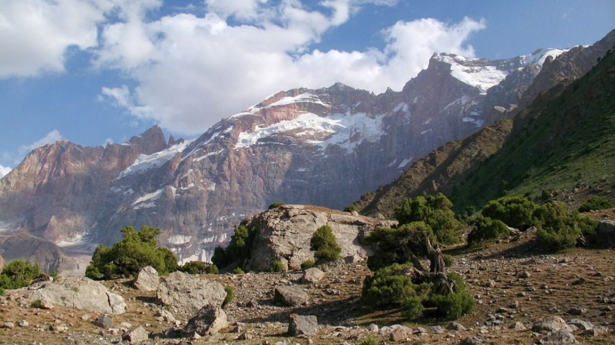 Фото из архива