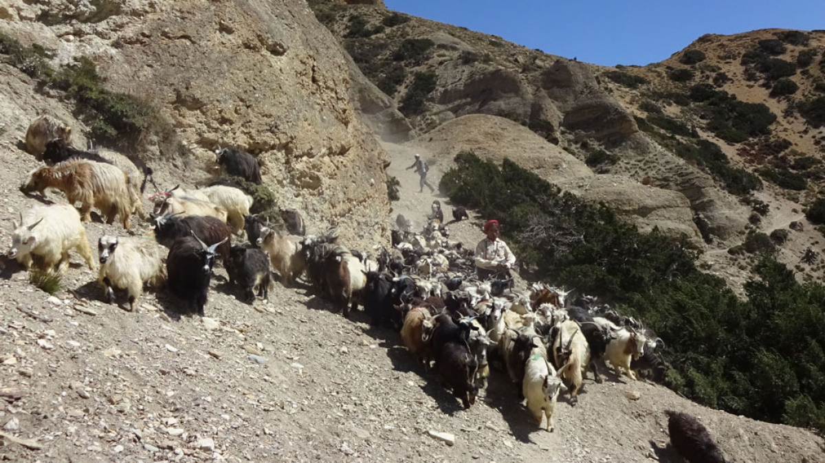 Photo by our guide Lika Maystrova