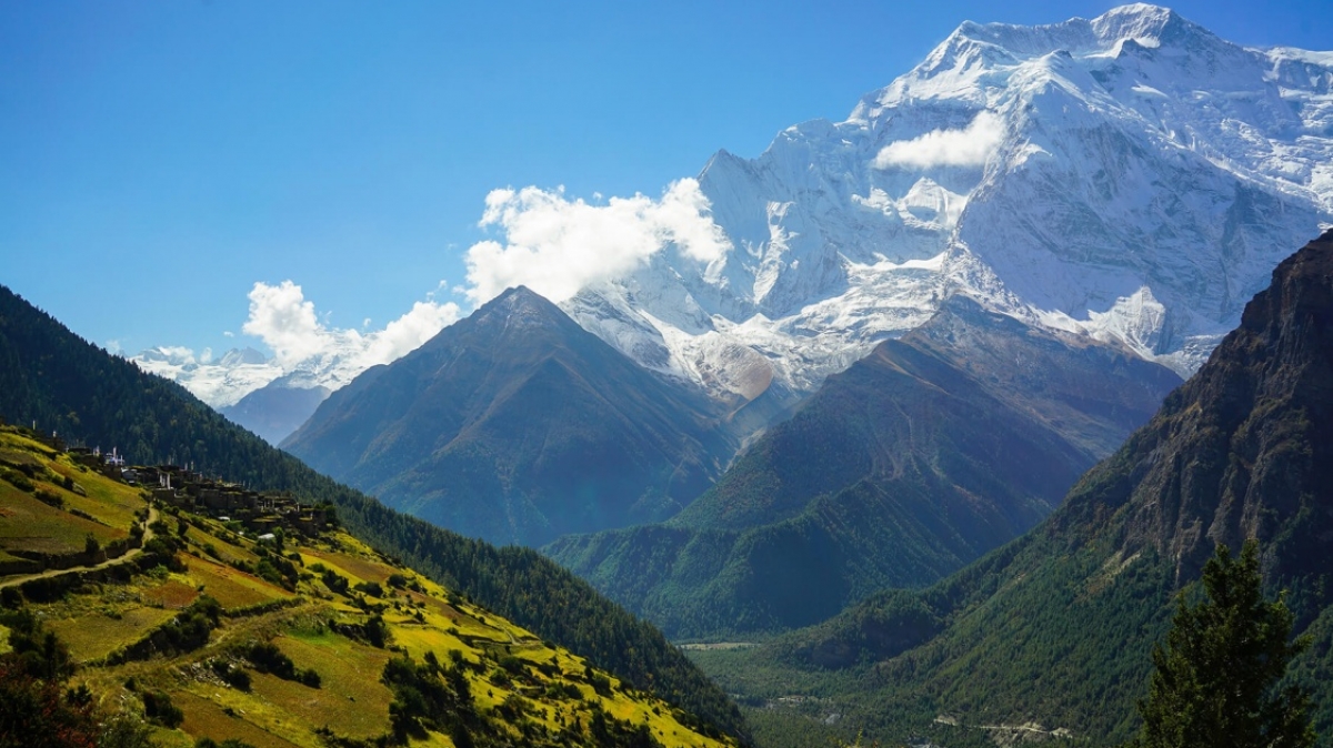 Фото: Jerome Sallerin, unsplash.com