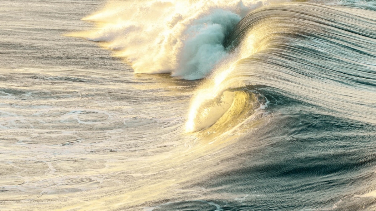 Фото: Jeremy Bishop, unsplash.com