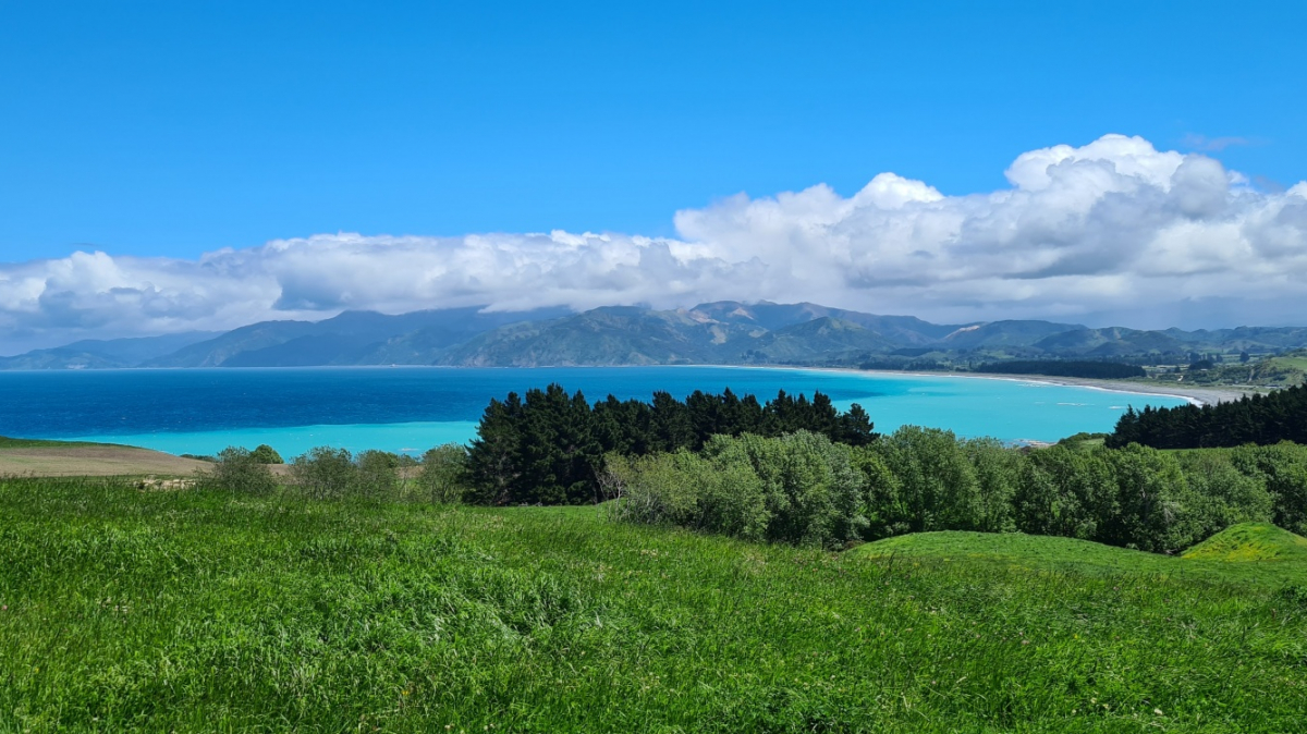 Фото: JustGoThere.NZ