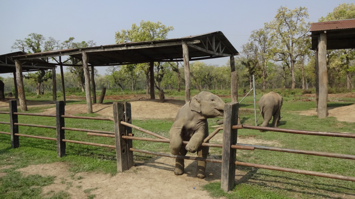 Фото нашего гида Лики Майстровой