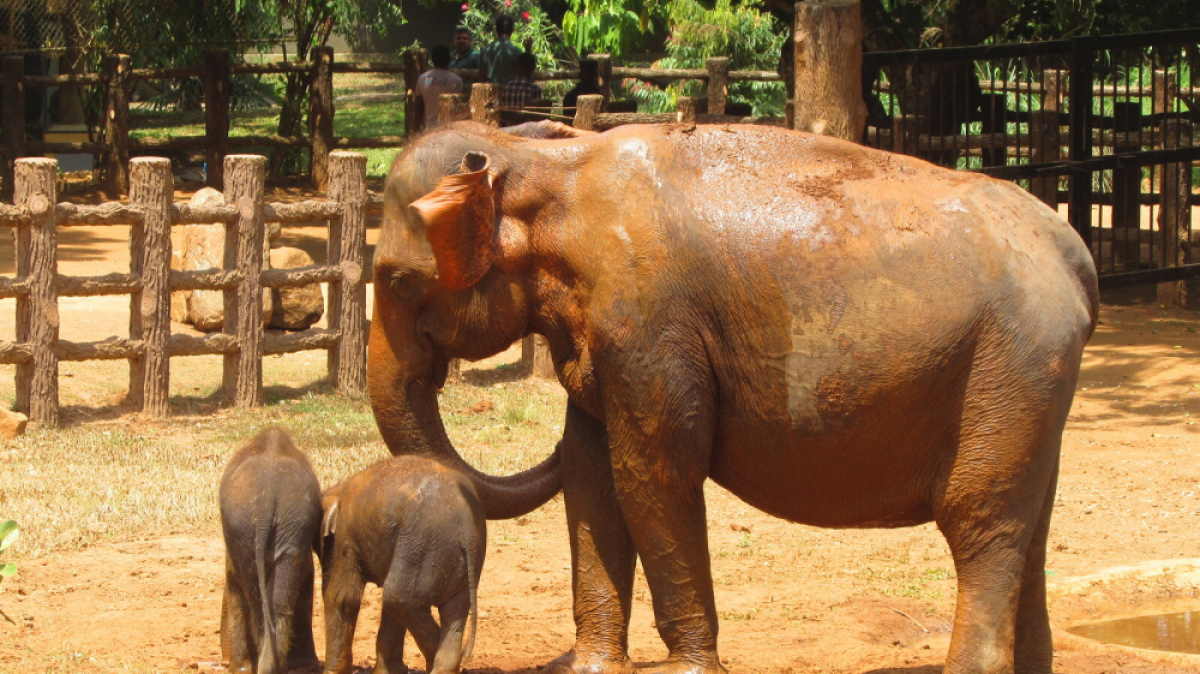 Фото нашего гида Лики Майстровой