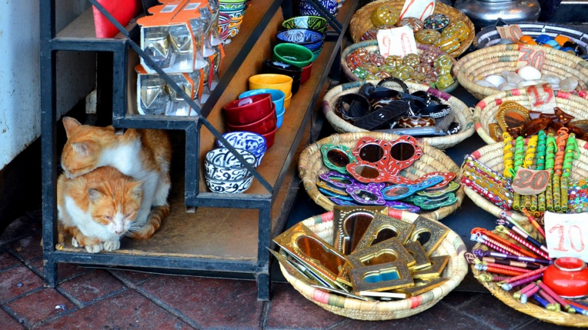 Фото нашей Странницы Оксаны Царьковой