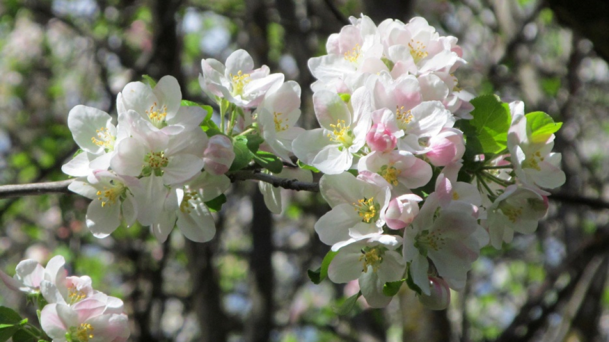 Фото нашего гида Ирины Пряничниковой