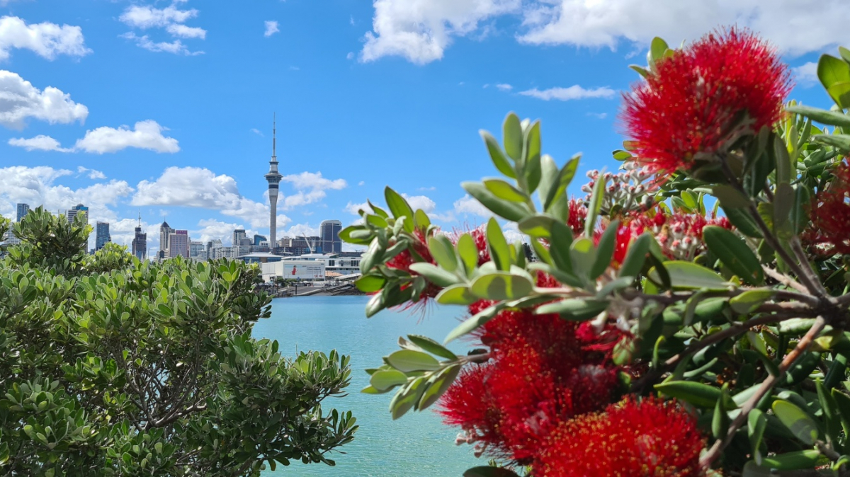 Фото: JustGoThere.NZ