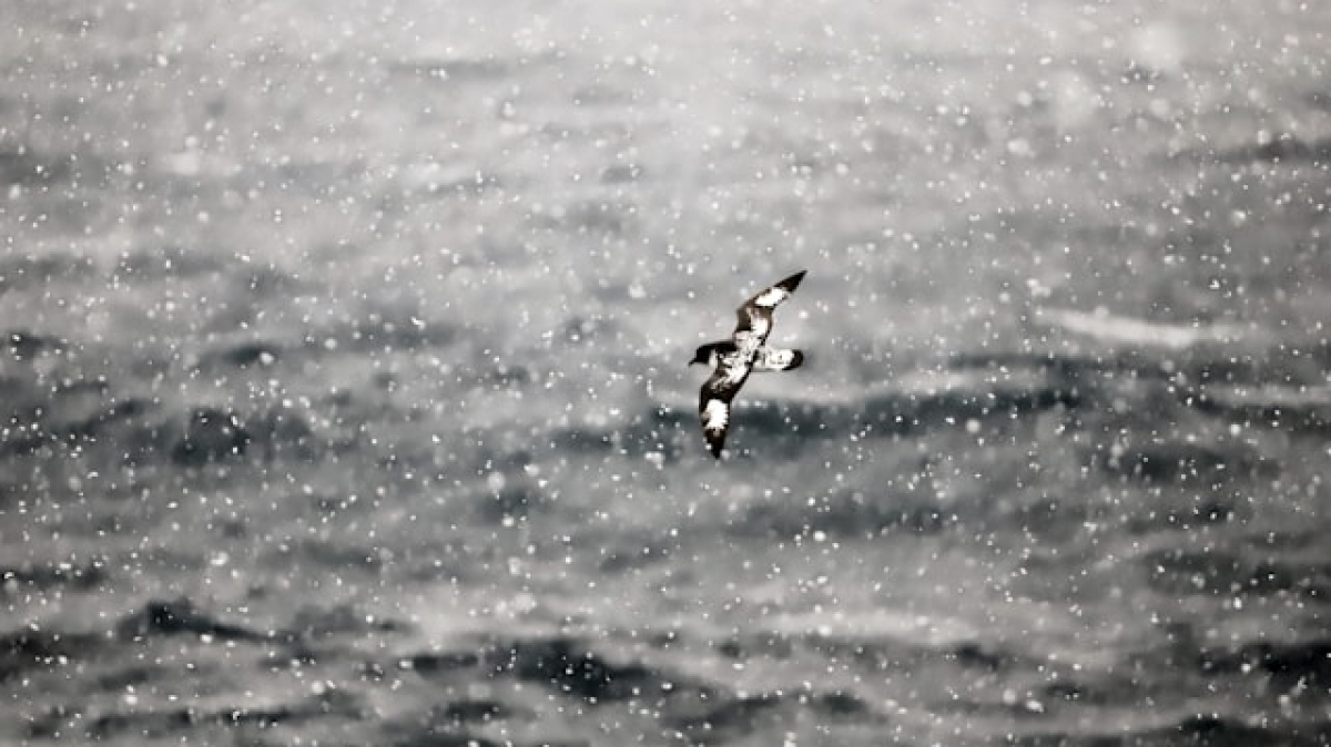 Фото: 66-north on unsplash