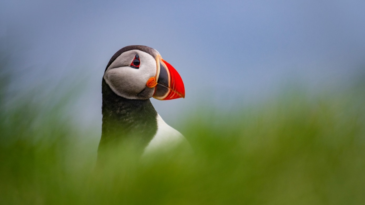 Фото из архива Клуба