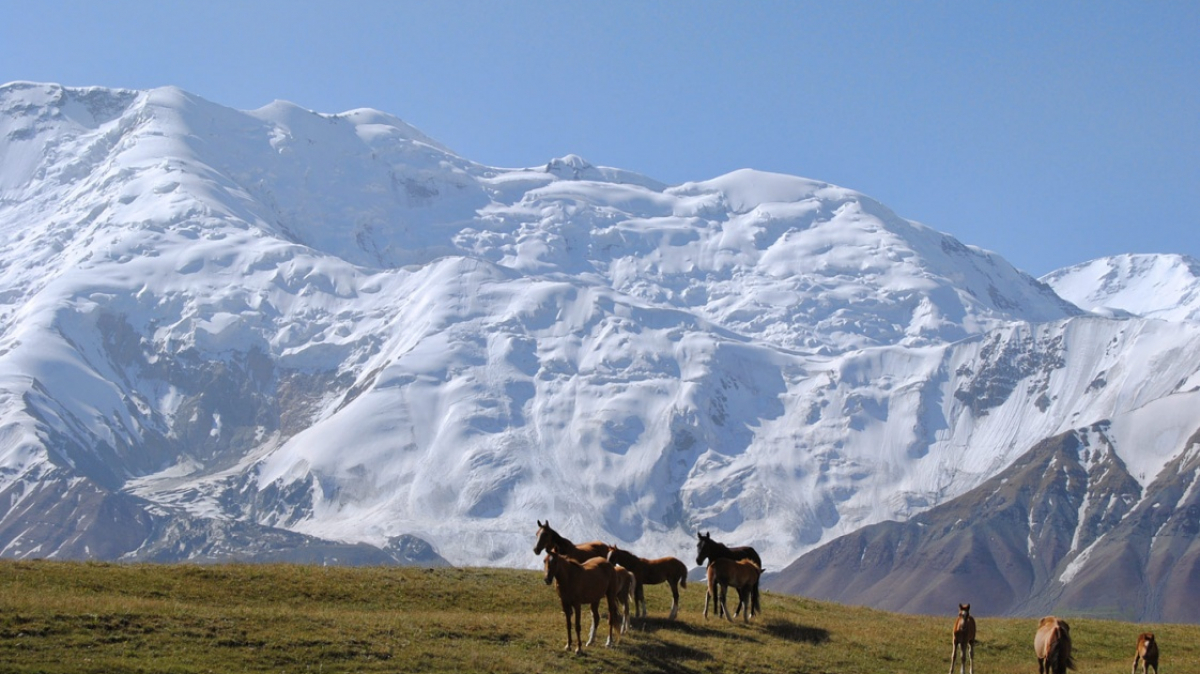 Фото из архива Клуба