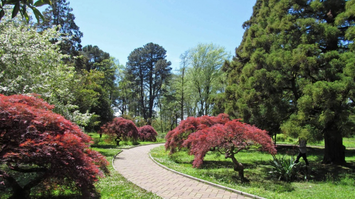 В Ботаническом саду. Фото нашего гида Ирины Пряничниковой