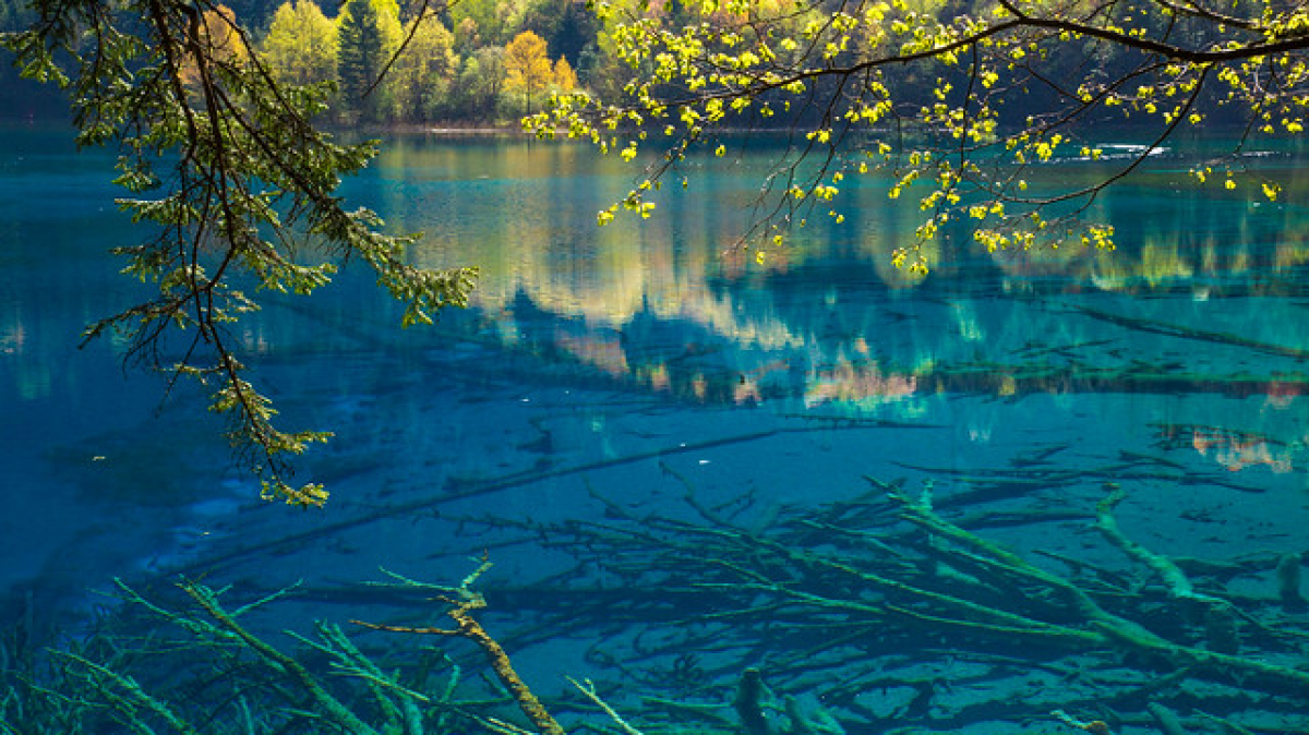 Фото: jmhullot on visualhunt