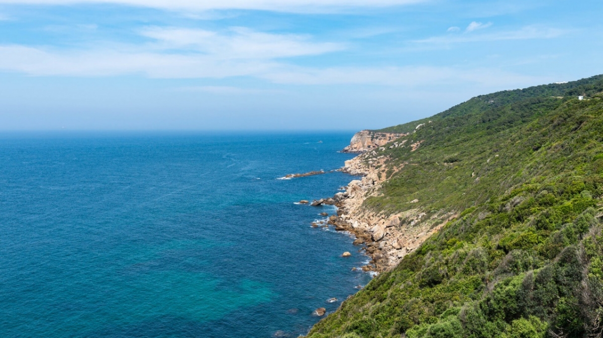 Фото: rbrands, visualhunt.com