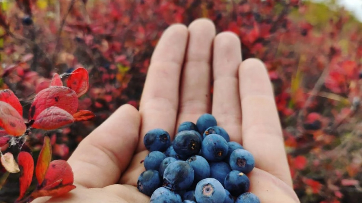 Photo by our guide Evgenia Skopina