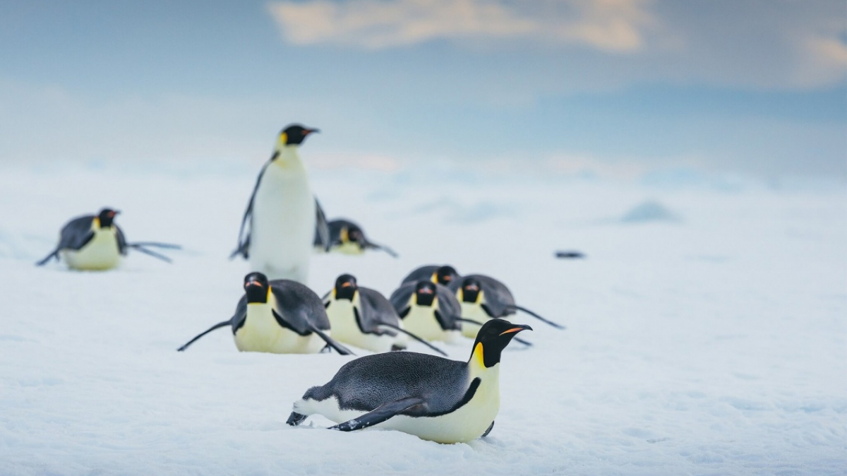 Фото из архива Клуба