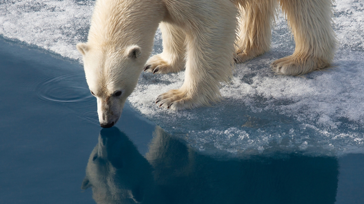 Фото из архива Клуба